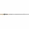 Rods & Reels * | Daiwa Procyon Inshore Casting Rod