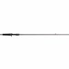 Rods & Reels * | Daiwa Fuego Casting Rod