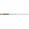 Rods & Reels * | 13 Fishing Fate Green Inshore Casting Rod