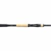 Rods & Reels * | Shimano Expride Casting Rod